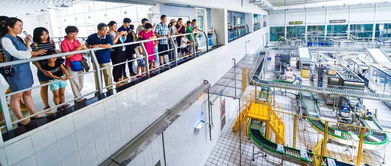 牛奶煮沸為何不見奶皮？餐飲企業(yè)這樣解答市民疑問