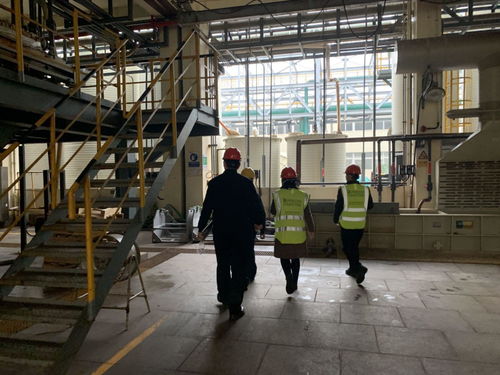 與安全同行，讓安全常駐 寶曼咨詢(xún)協(xié)助華友鈷業(yè)開(kāi)展現(xiàn)場(chǎng)EHS管理現(xiàn)狀調(diào)研